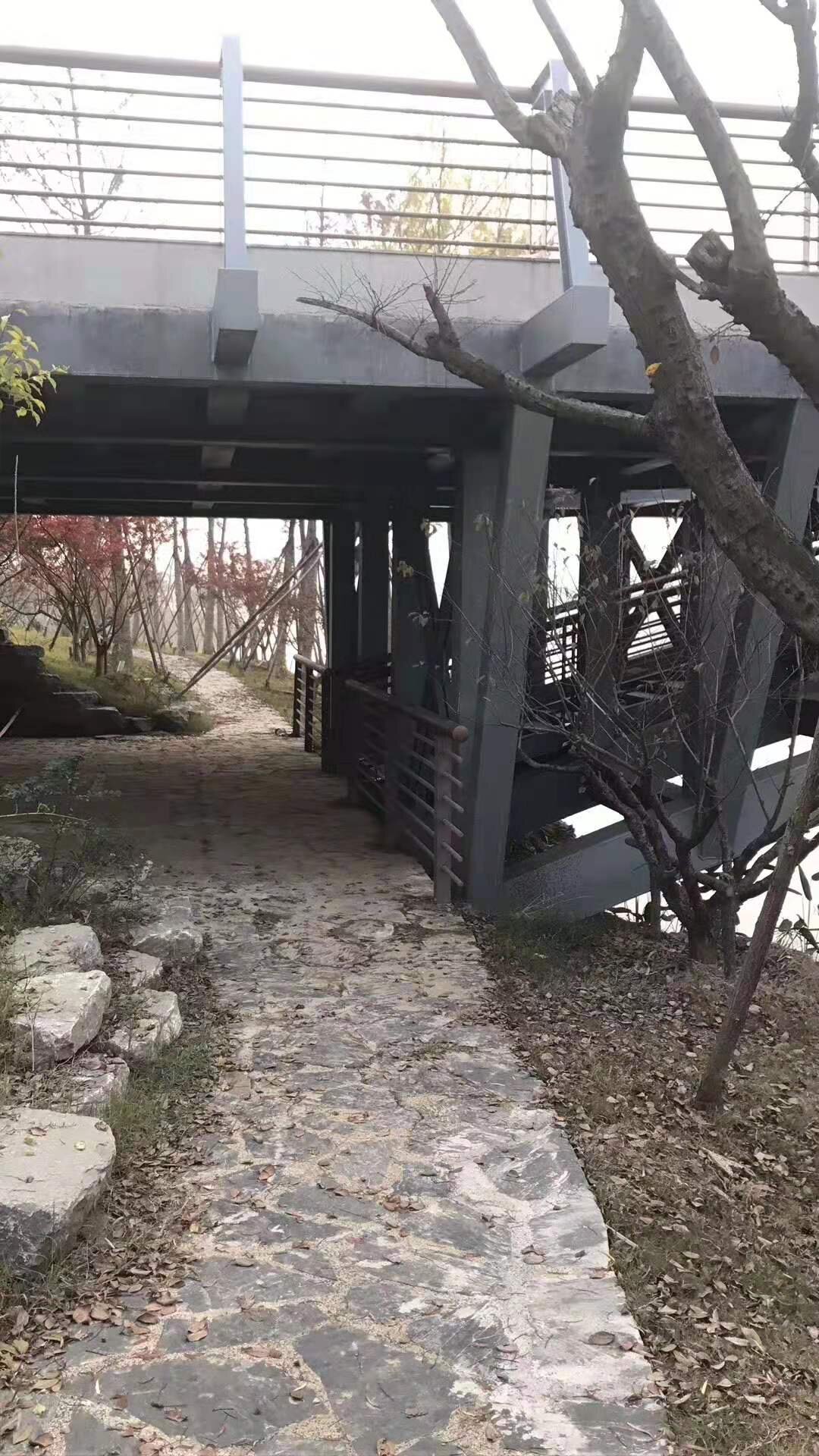 常州本洲涂料有限公司 (3)_proc.jpg