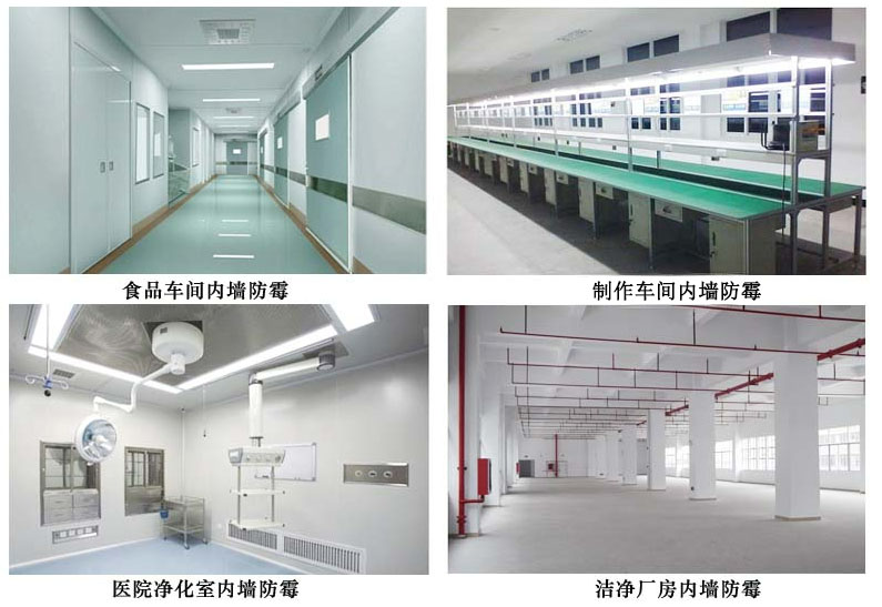 制作车间内墙防霉.jpg